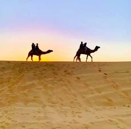 Dinner on Dunes